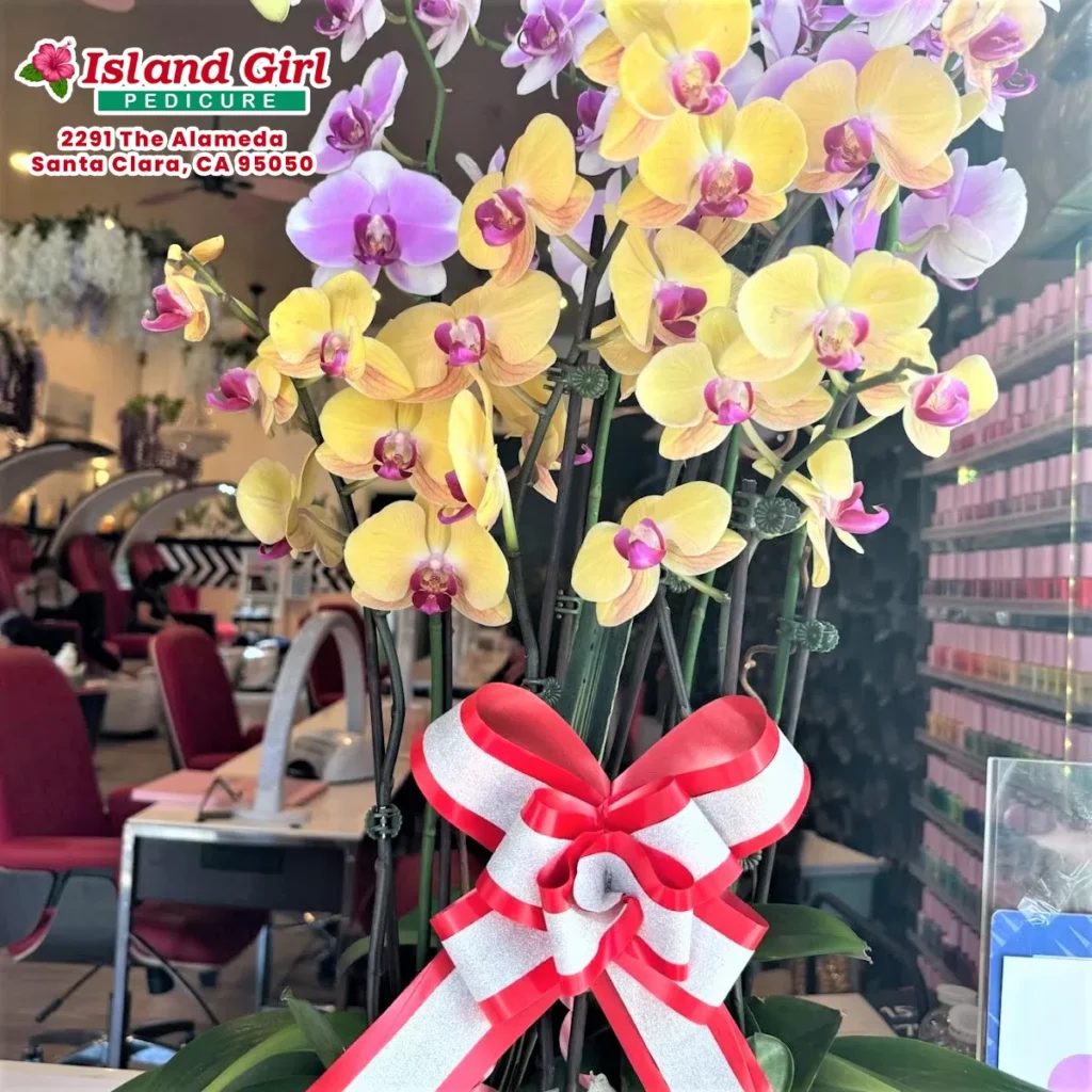 Island Girl Pedicure - 2291 The Alameda, Santa Clara, CA 95050